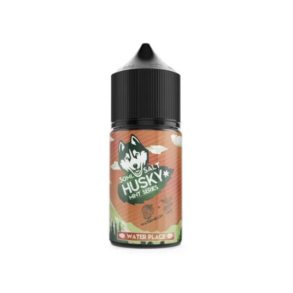 Жидкость Husky salt Mint series Water Place (Арбуз холодок) (30 мл, 20 мг/мл) в Донецке