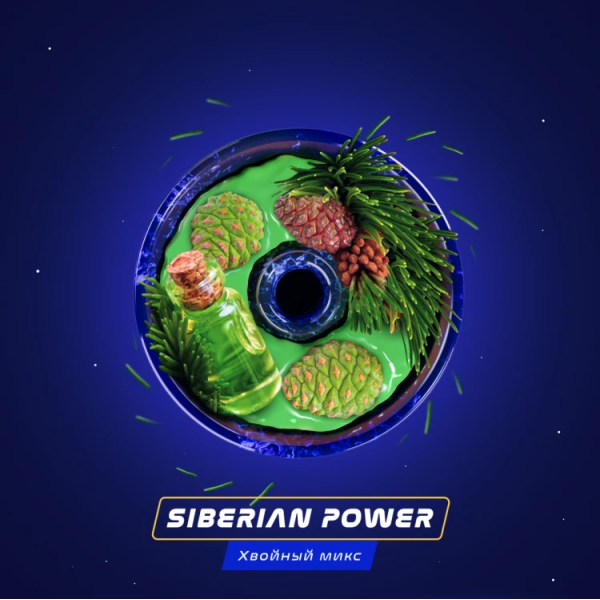 Паста Space Smoke BASIC Siberian Power (Хвоя Сосна Пихта) 30 гр в Донецке
